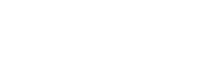 xvi · assessorament i consultoria informàtica